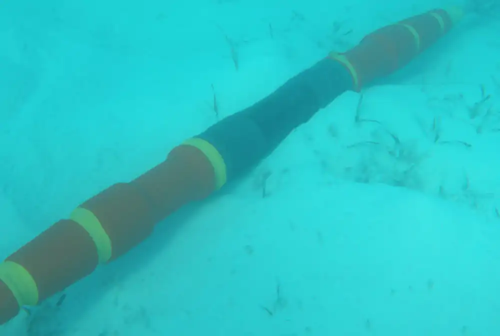 A photo of an intact Europe India Gateway internet cable on the bottom of the sea