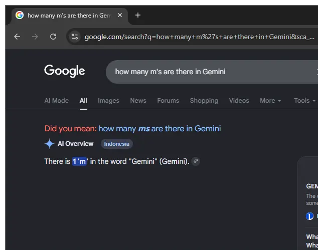 Google fail
