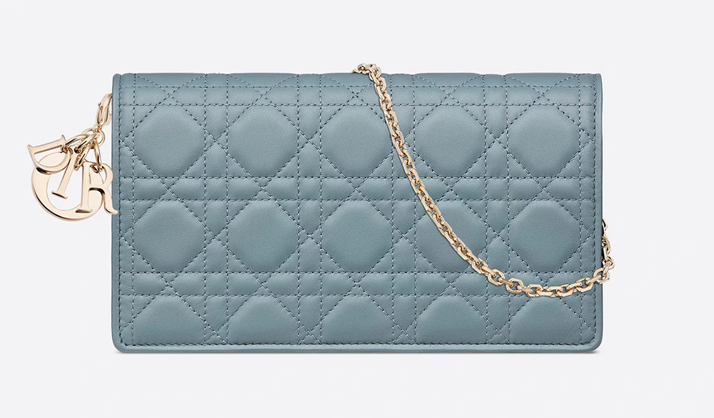 The Lady Dior pouch.