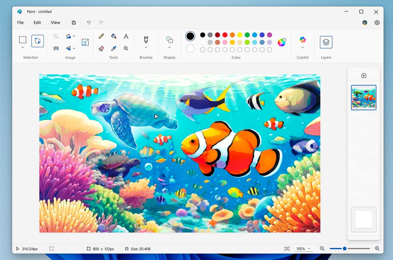 Paint