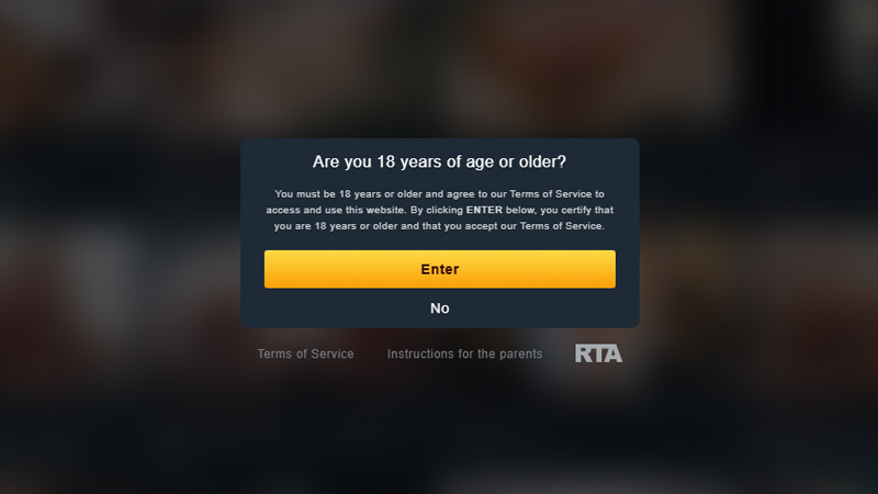 Browsing adult website