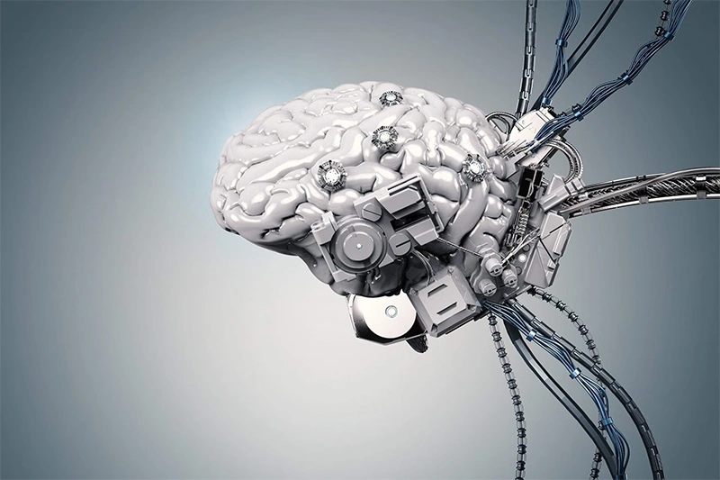 Robot brain
