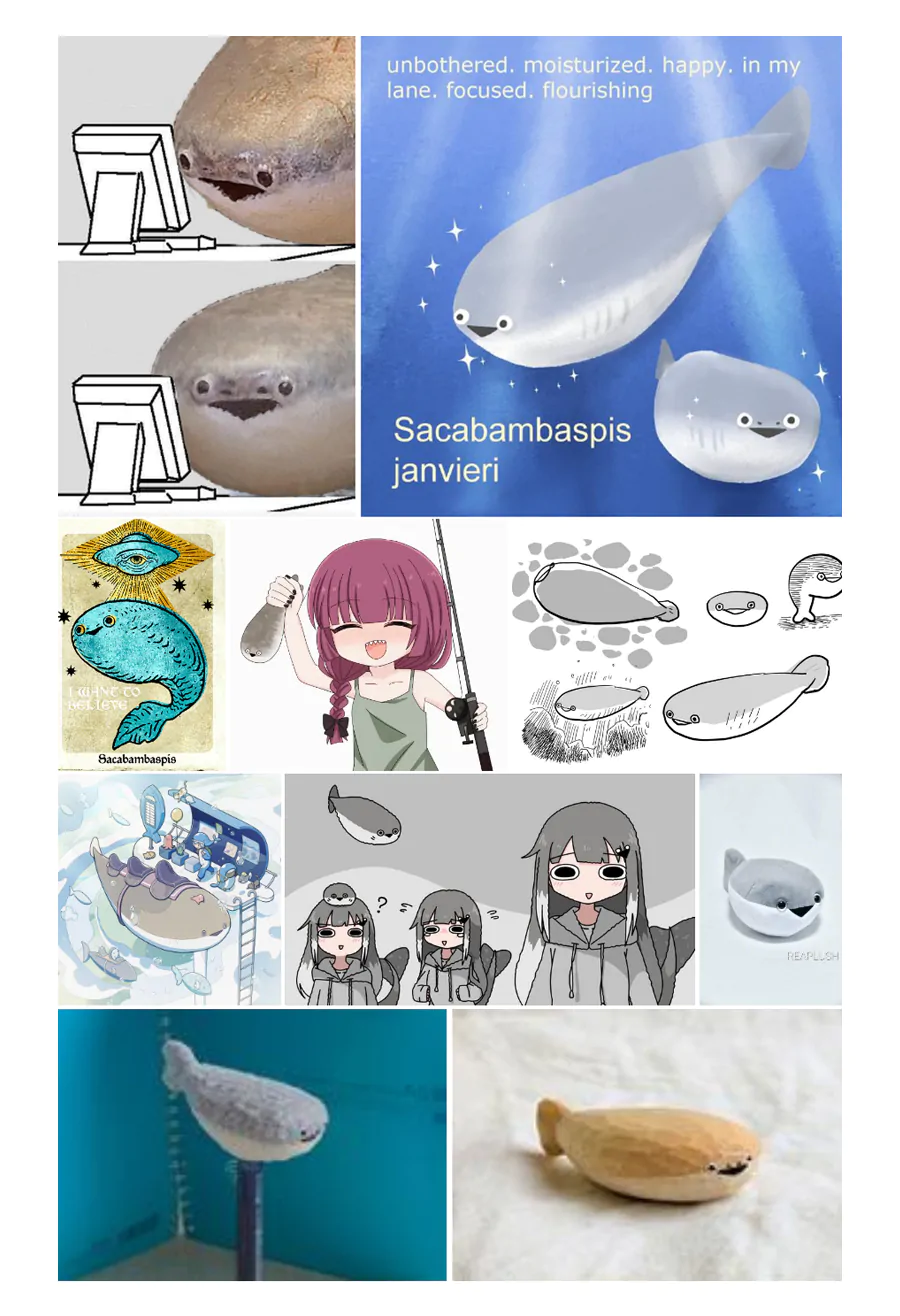 Sacabambaspis