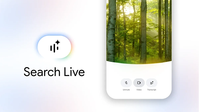 Searcg Live