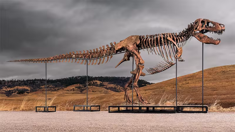 Gus, the T-rex