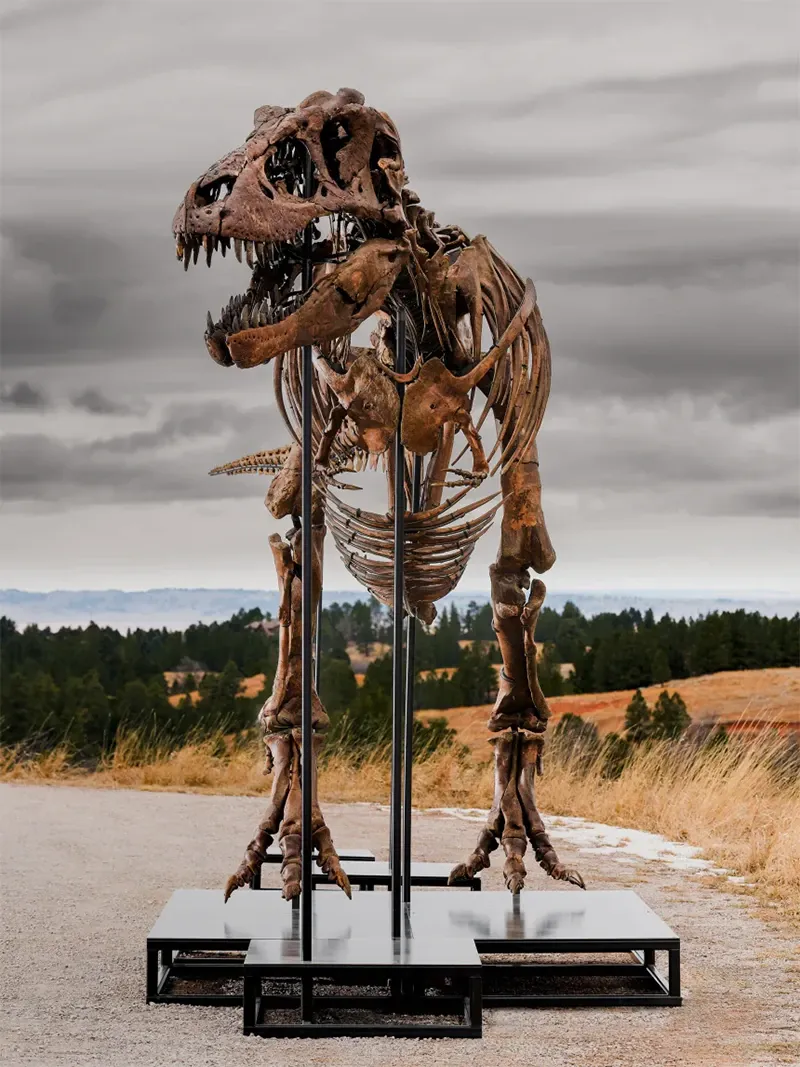 Gus, the T-rex