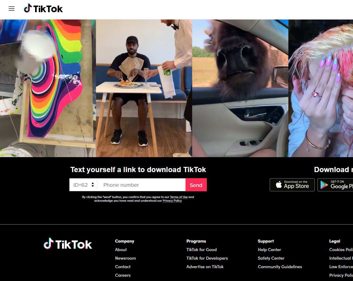 TikTok page where people can send themselves a link to download the TikTok app